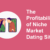 Profitable Niche Market Dating Site Solutions